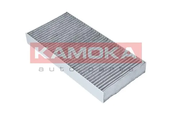 Filter, cabin air F430601