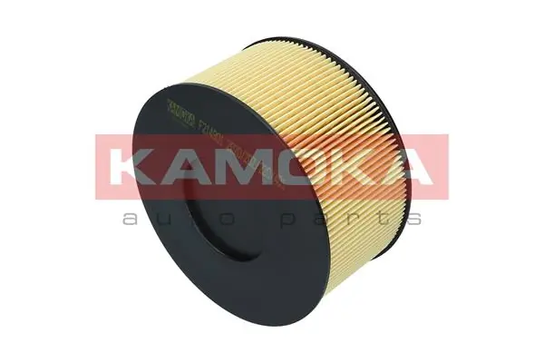 Air Filter F214901