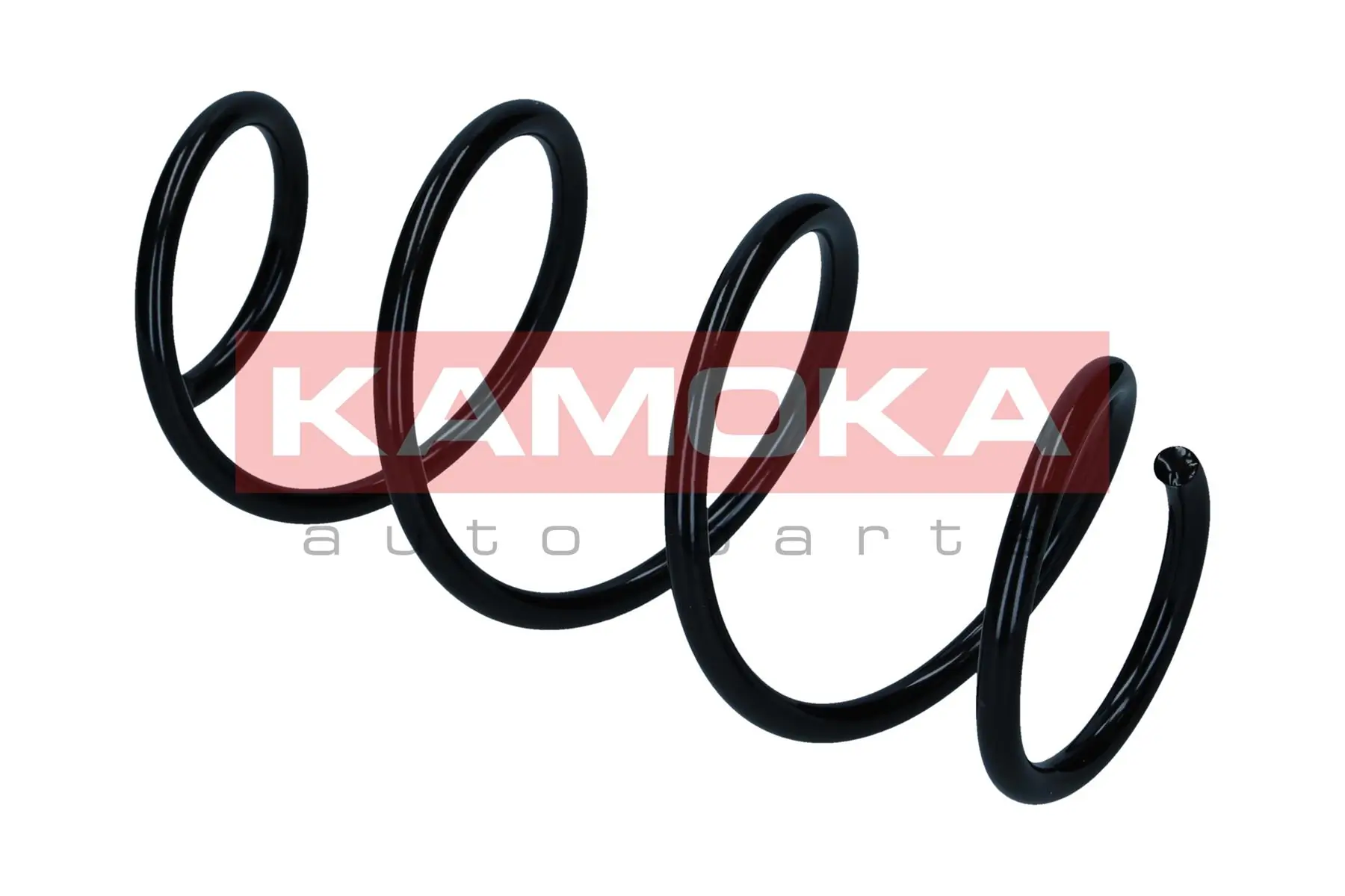 Suspension Spring 2110738