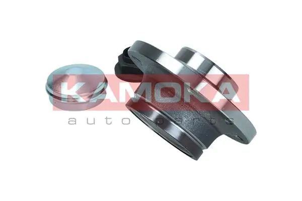 Wheel Bearing Kit 5500333
