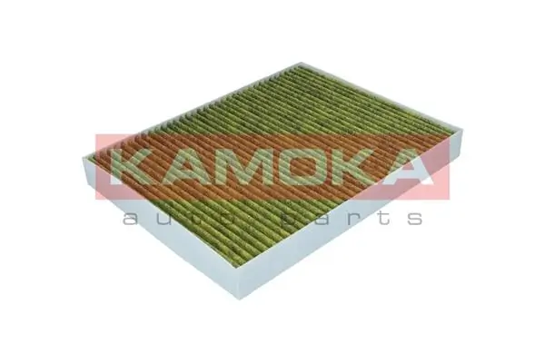 Filter, cabin air 6080031