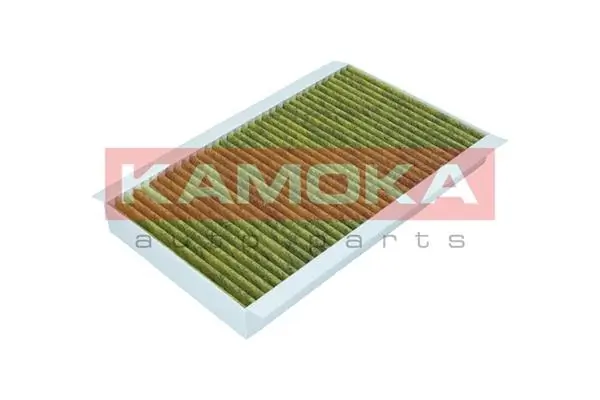 Filter, cabin air 6080094