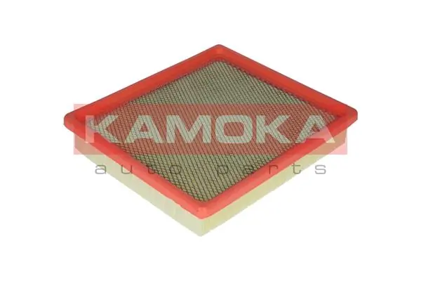 Air Filter F219701