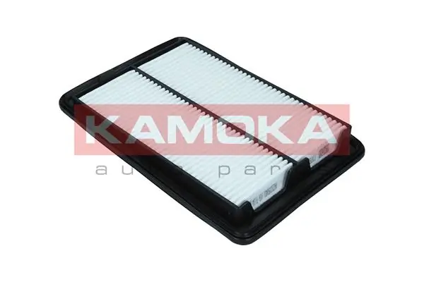 Air Filter F247501