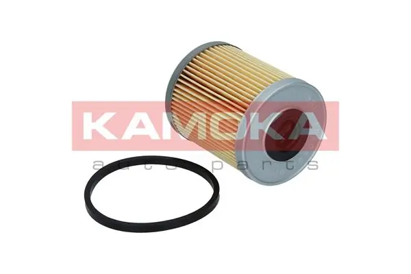 Fuel Filter F308801