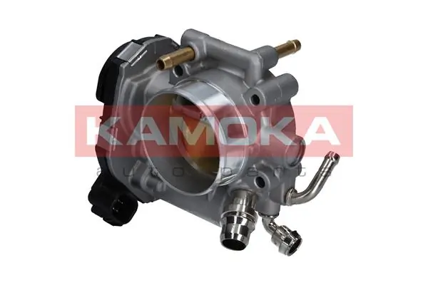 Throttle Body 112016