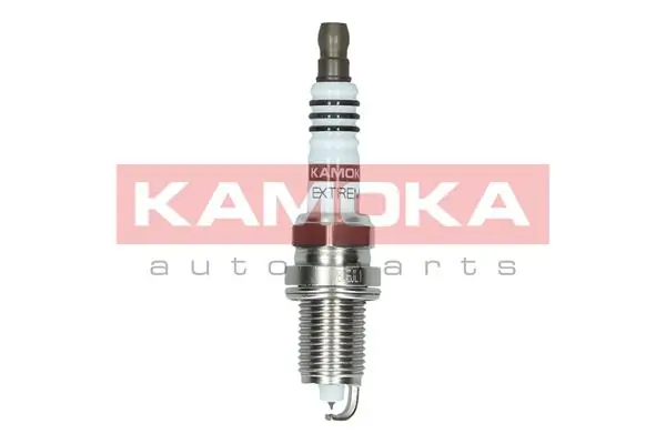 Spark Plug 7100040