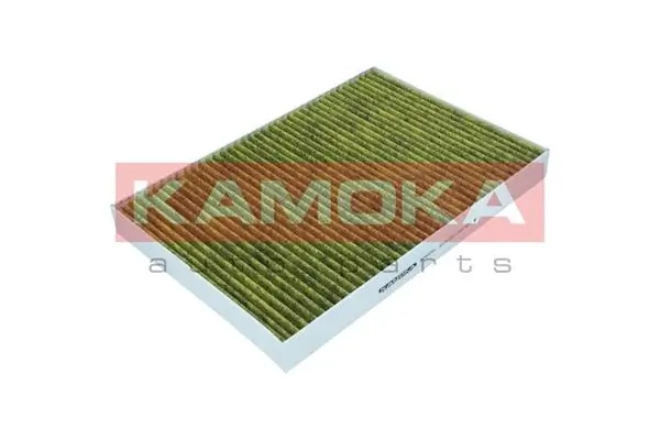Filter, cabin air 6080056