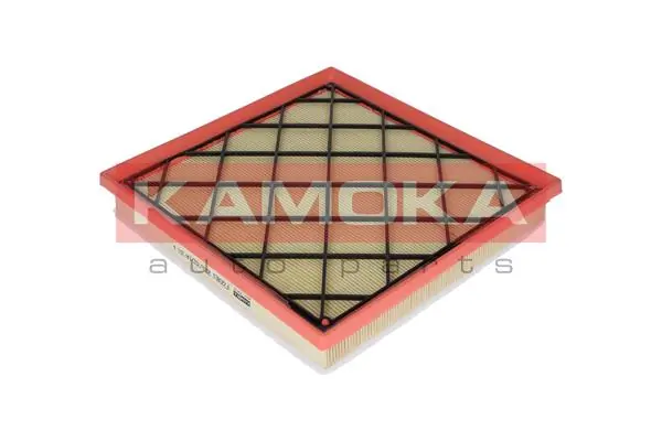 Air Filter F220801