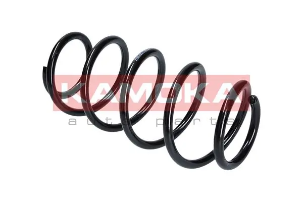 Suspension Spring 2110231