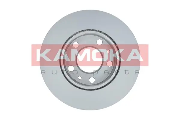Brake Disc 1031536