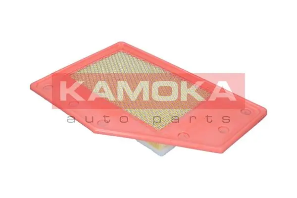 Air Filter F259901