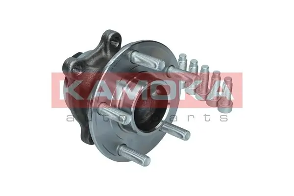 Wheel Bearing Kit 5500242