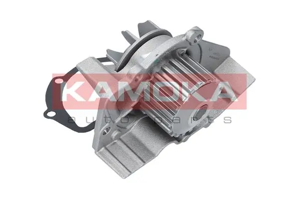 Water Pump, engine cooling T0070