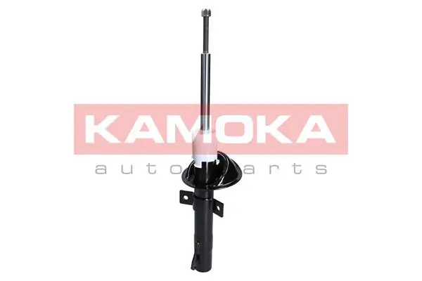 Shock Absorber 2000176