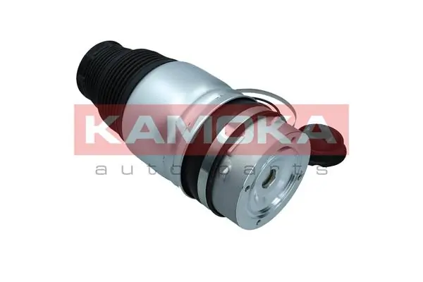 Air Spring, suspension 2079008
