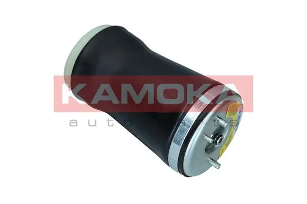 Air Spring, suspension 2079021