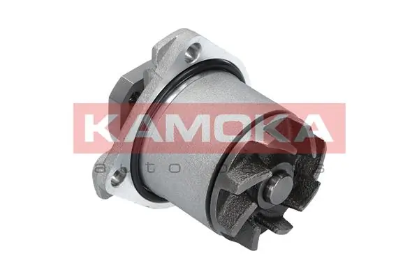 Water Pump, engine cooling T0074