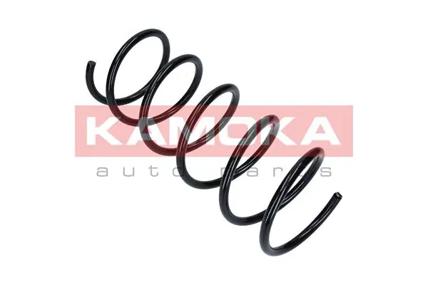 Suspension Spring 2110025