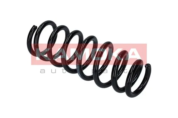 Suspension Spring 2120206