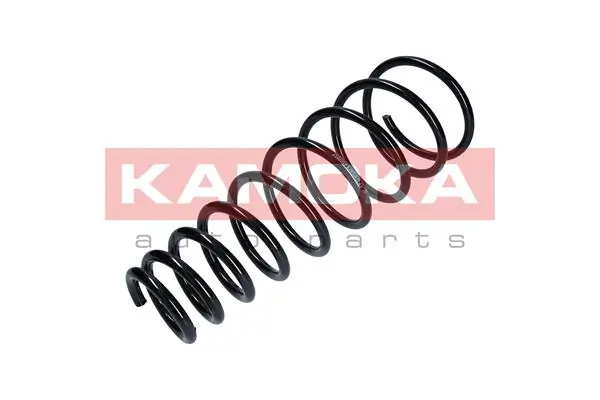 Suspension Spring 2110189