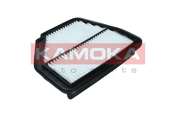 Air Filter F246101