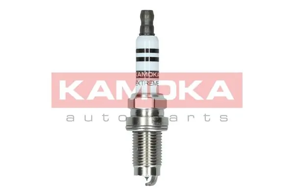 Spark Plug 7100057