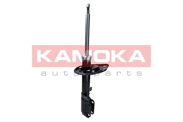Shock Absorber 2000609