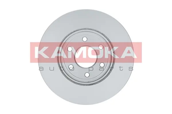 Brake Disc 1031068