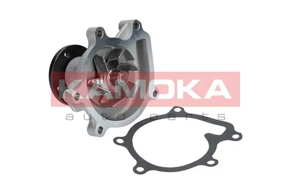 Water Pump, engine cooling T0269