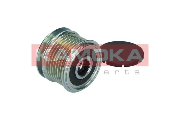 Alternator Freewheel Clutch RC075