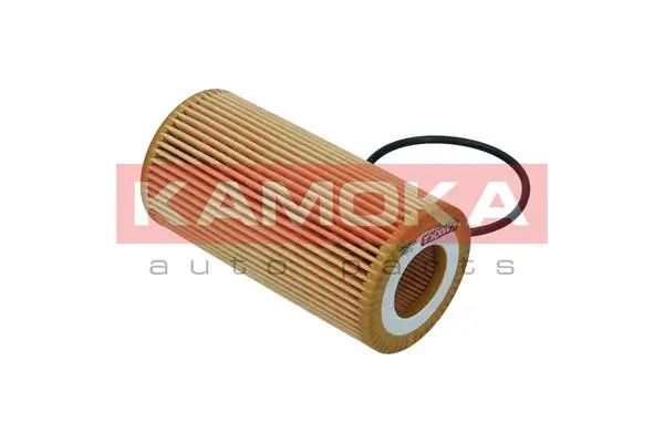 Oil Filter F116001