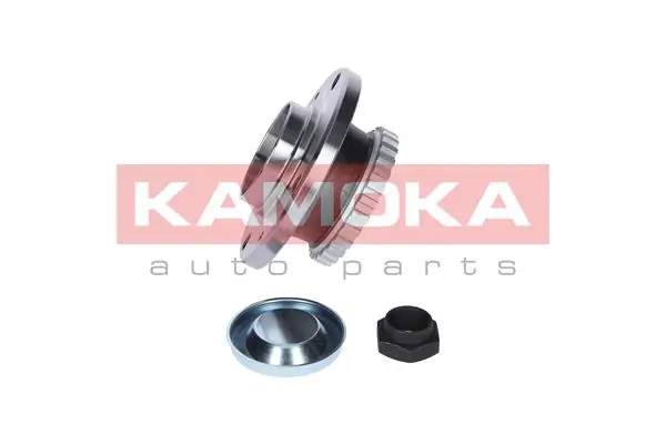 Wheel Bearing Kit 5500006