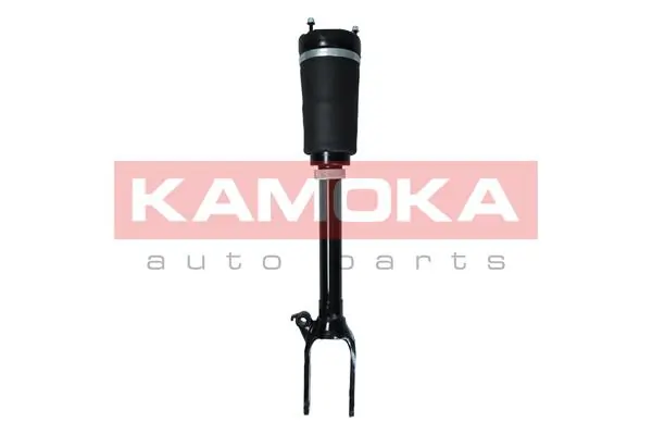 Air Suspension Strut 2070016