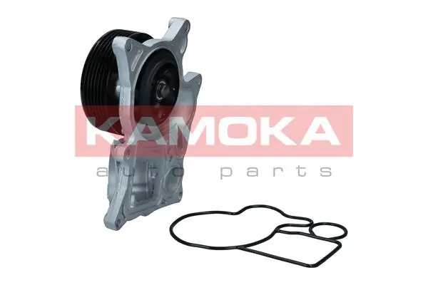 Water Pump, engine cooling T0300