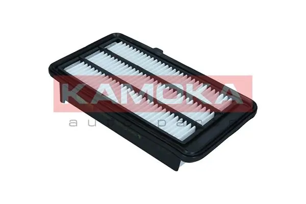 Air Filter F256501