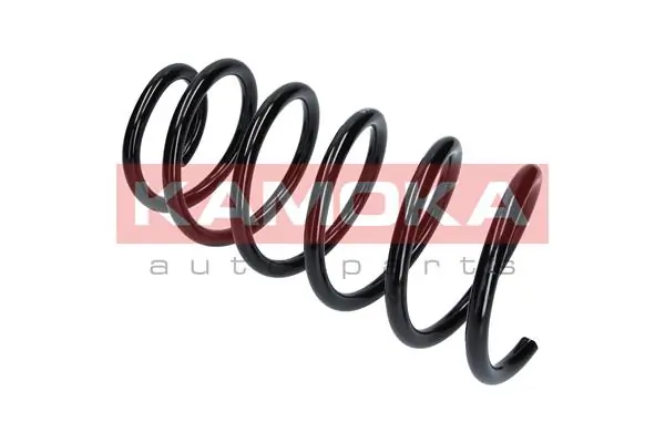 Suspension Spring 2110318