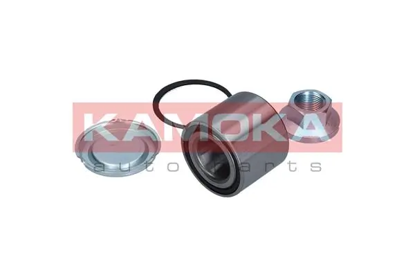Wheel Bearing Kit 5600048