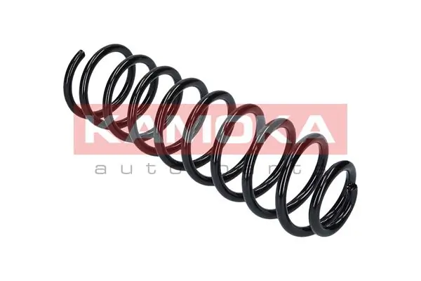 Suspension Spring 2120081