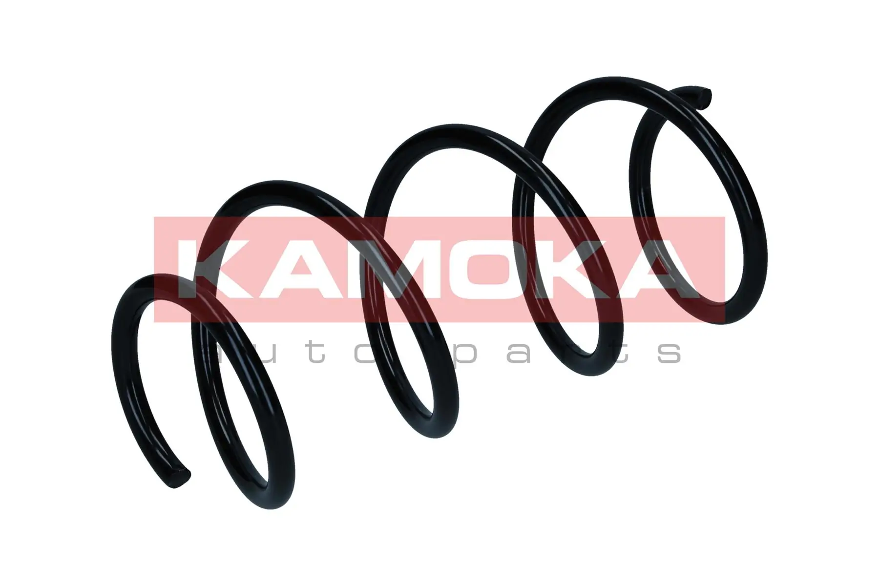 Suspension Spring 2110651