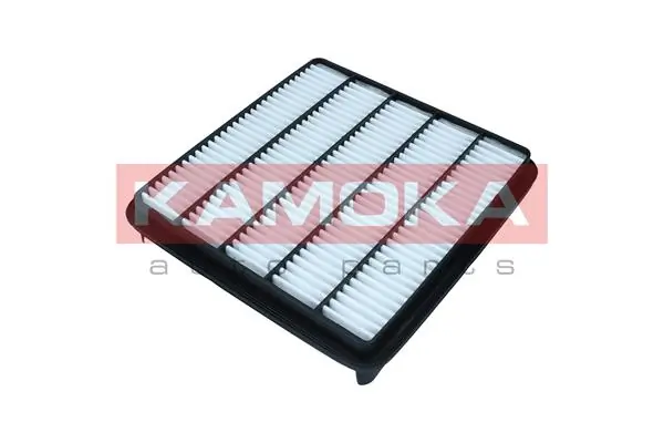 Air Filter F261001