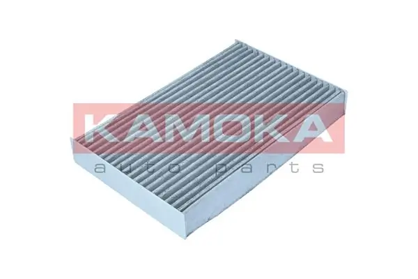 Filter, cabin air F511801