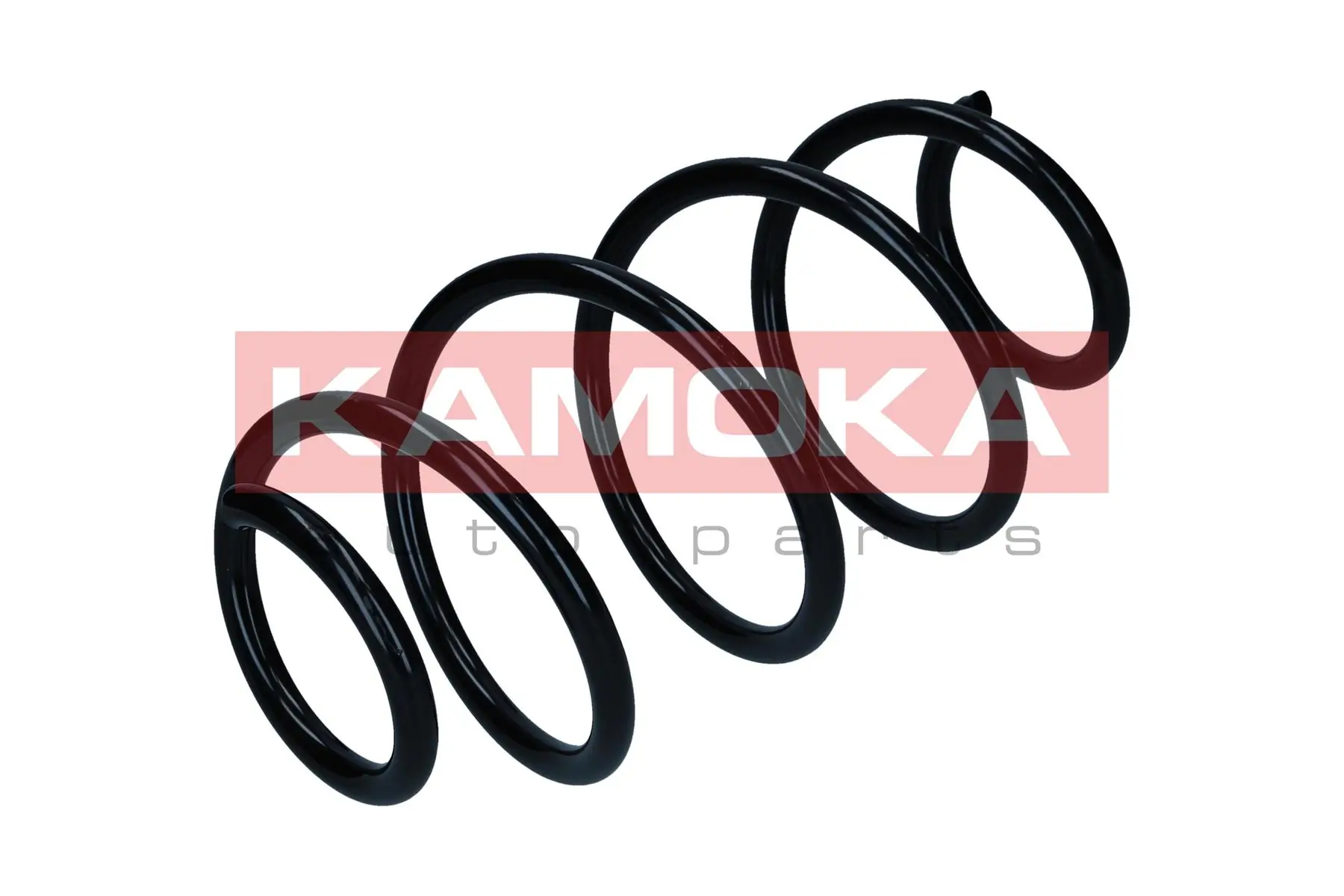 Suspension Spring 2110451