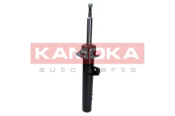 Shock Absorber 2000295