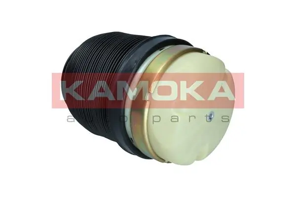 Air Spring, suspension 2079002