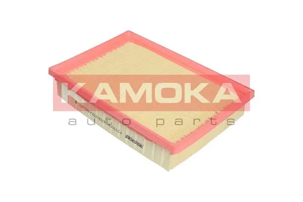 Air Filter F220601