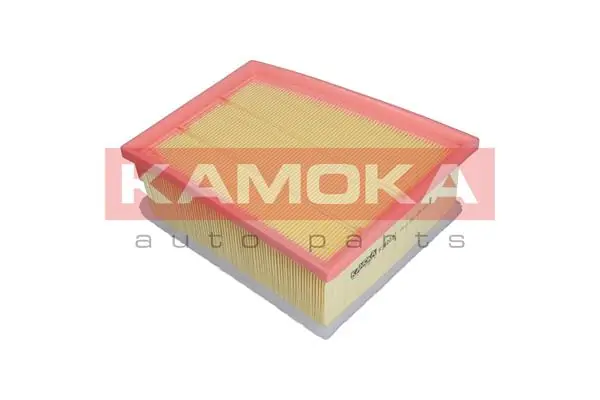 Air Filter F240001