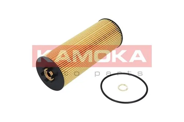 Oil Filter F105501