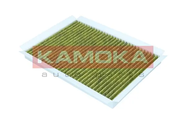 Filter, cabin air 6080147