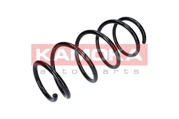 Suspension Spring 2110117